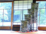 sawa_2012_02
